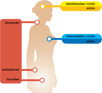 sedem centier